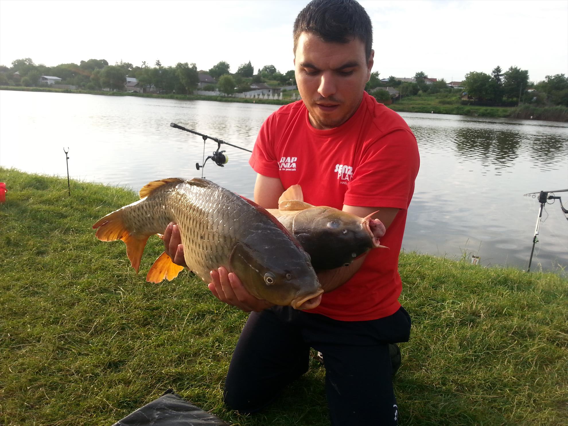 Moara Vlasiei 2 15 - 16 iulie 2014 - 20140716065641.jpg